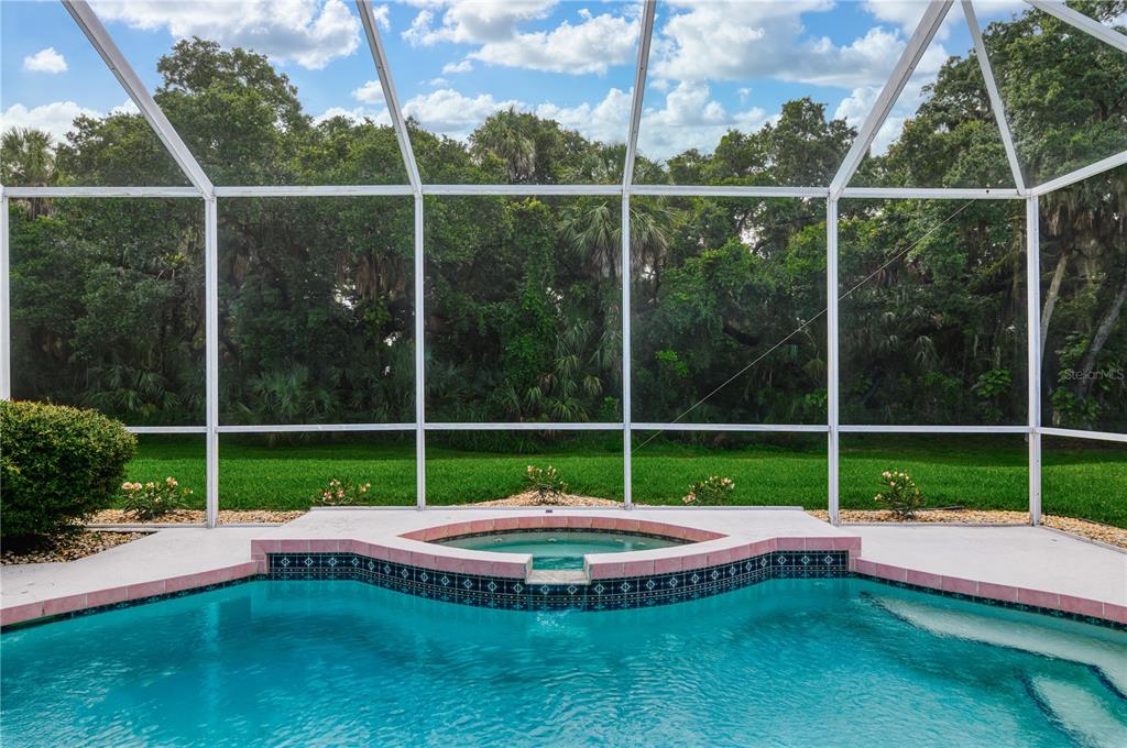 2810 89th Avenue East Parrish, FL 34219 - Photo 34 of 34 a swimming pool with a garden