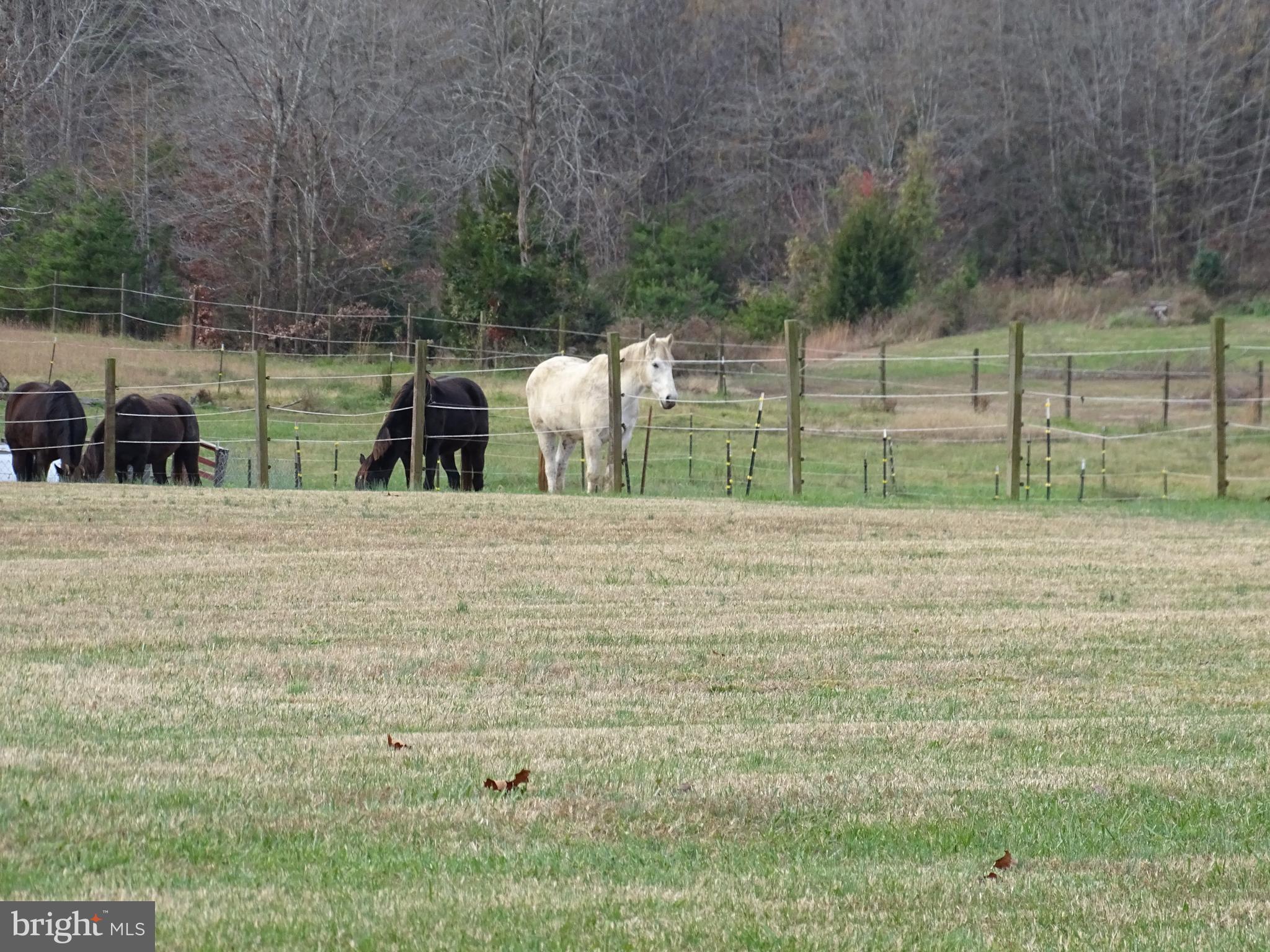 11820 Belfonte Road Bumpass, VA 23024 - Photo 13 of 14