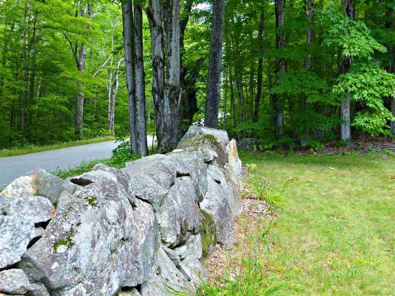 163 Maple Ridge Road Sandwich, NH 03259 - Photo 1 of 5