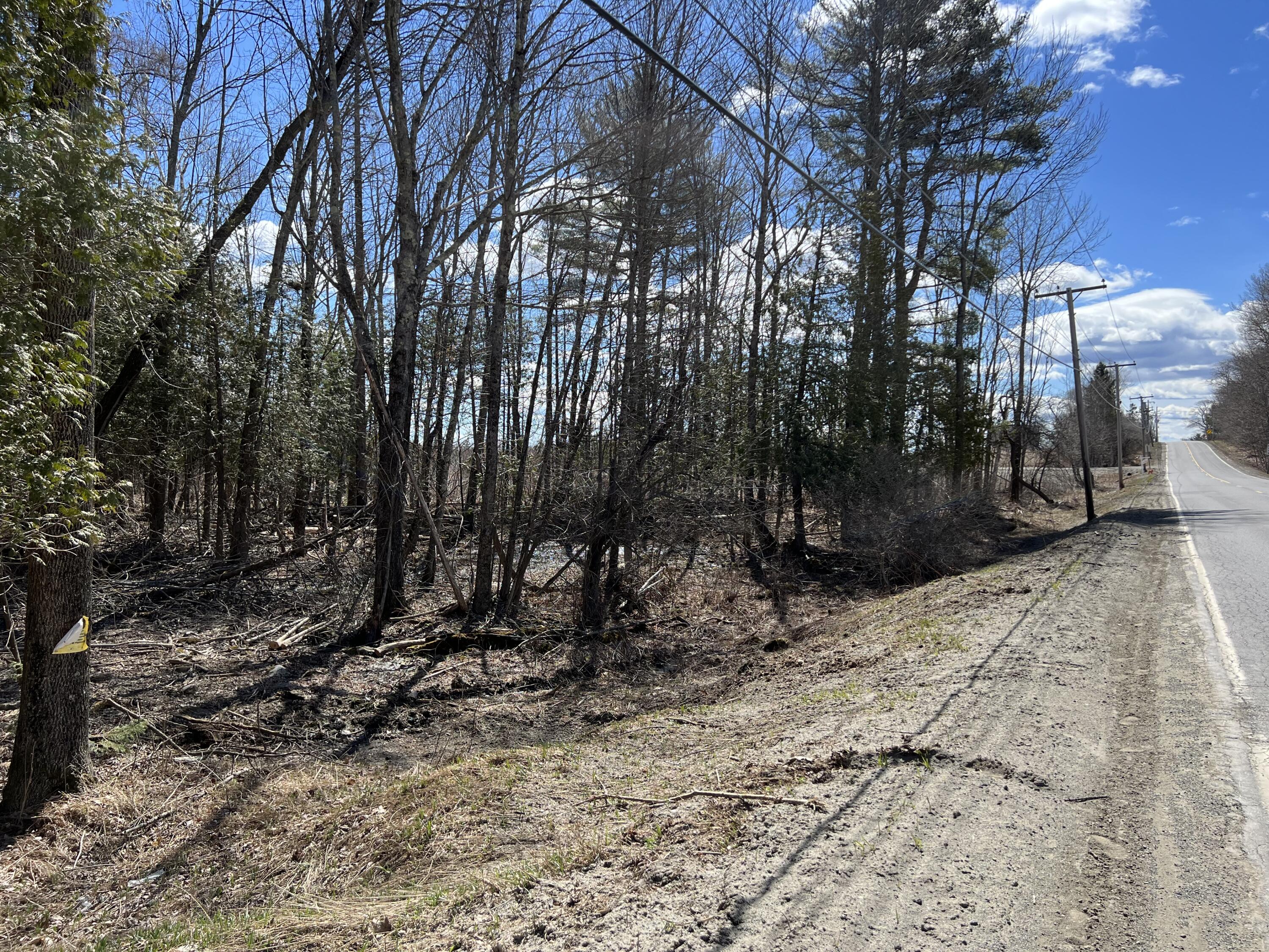 Lot 11-1 Main Road Charleston, ME 04422 - Photo 37 of 39 View on Main Rd from L side of property