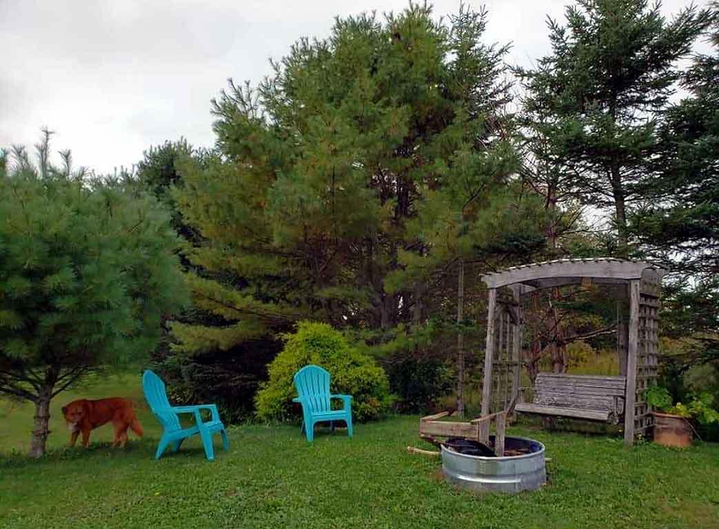 27 Carson Road Littleton, ME 04730 - Photo 60 of 60 27-carson-littleton-yard
