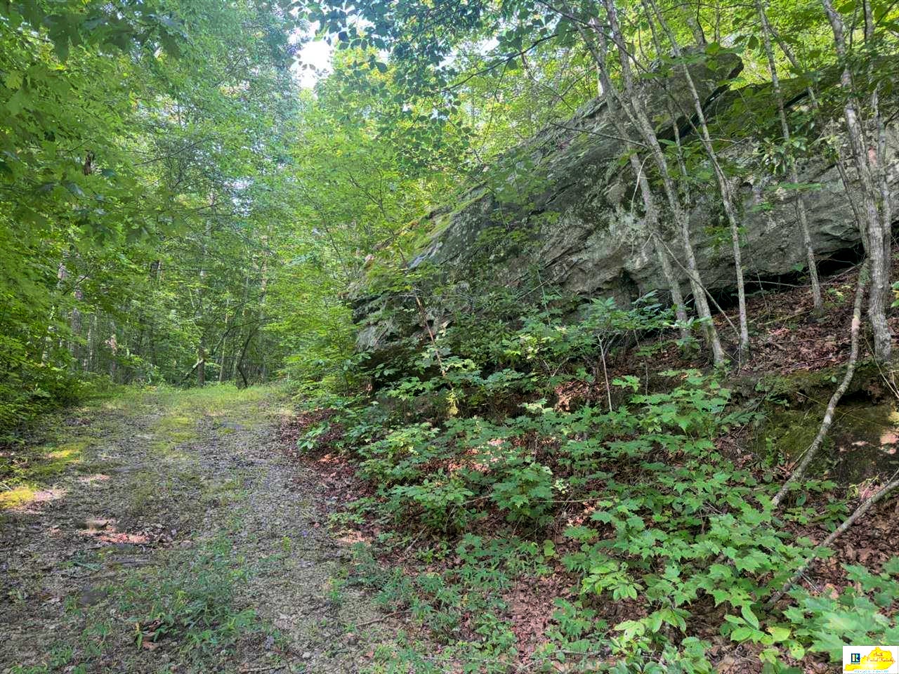 0 Skull Bone Tower Road Stearns, KY 42647 - Photo 27 of 31 Gallery Image 27