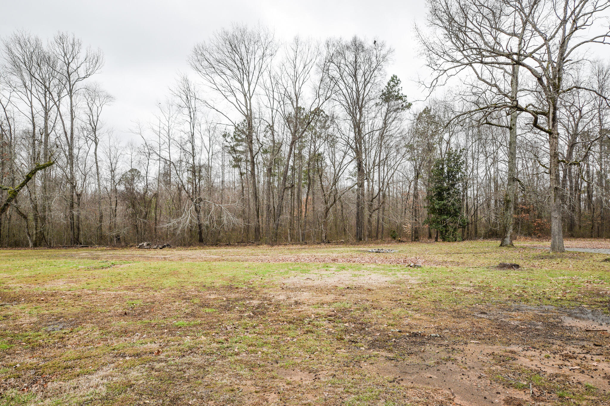 198 Kile Lake Road Cleveland, TN 37323 - Photo 19 of 19 DSC_8281