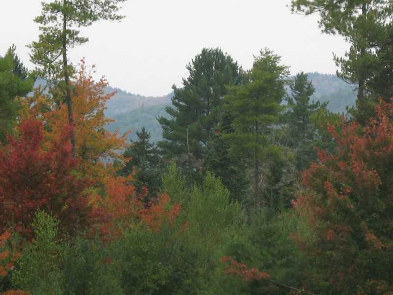 0 Abe Merrill Road Bethel, ME 04217 - Photo 1 of 1 Land.