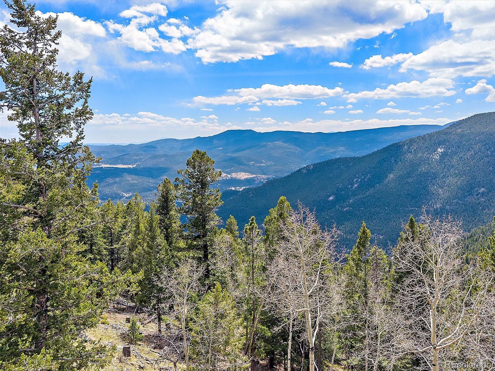 1406 Sinton Road Evergreen, CO 80439 - Photo 41 of 47