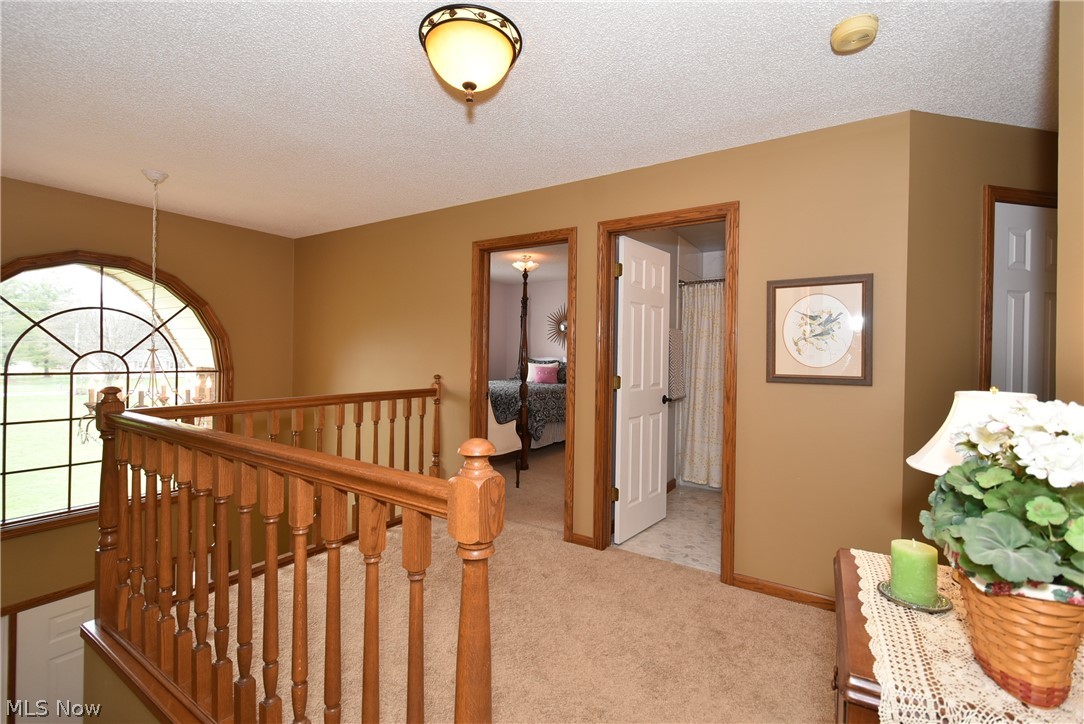 12047 Robson Road Grafton, OH 44044 - Photo 26 of 35 Gallery Image 26