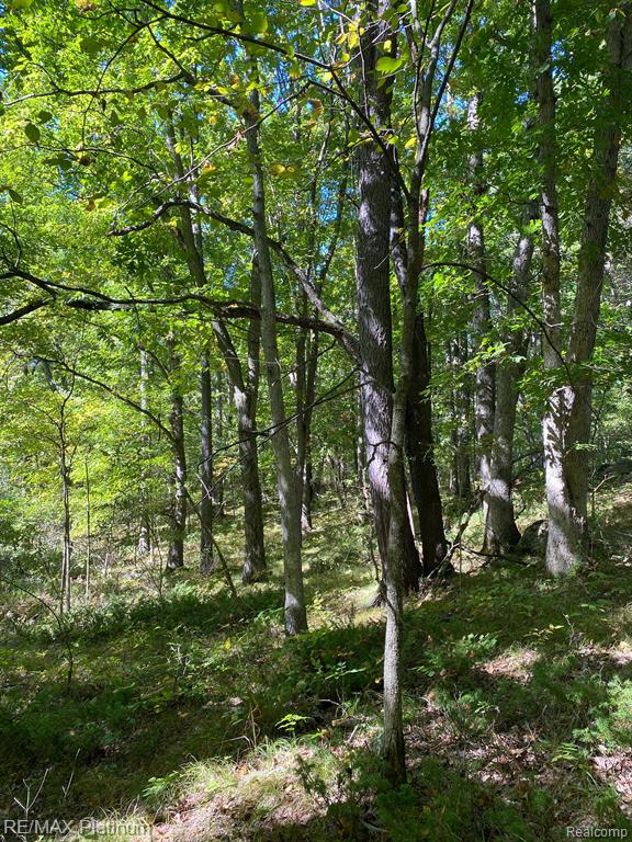 9532 Scully Road Whitmore Lake, MI 48189 - Photo 19 of 27