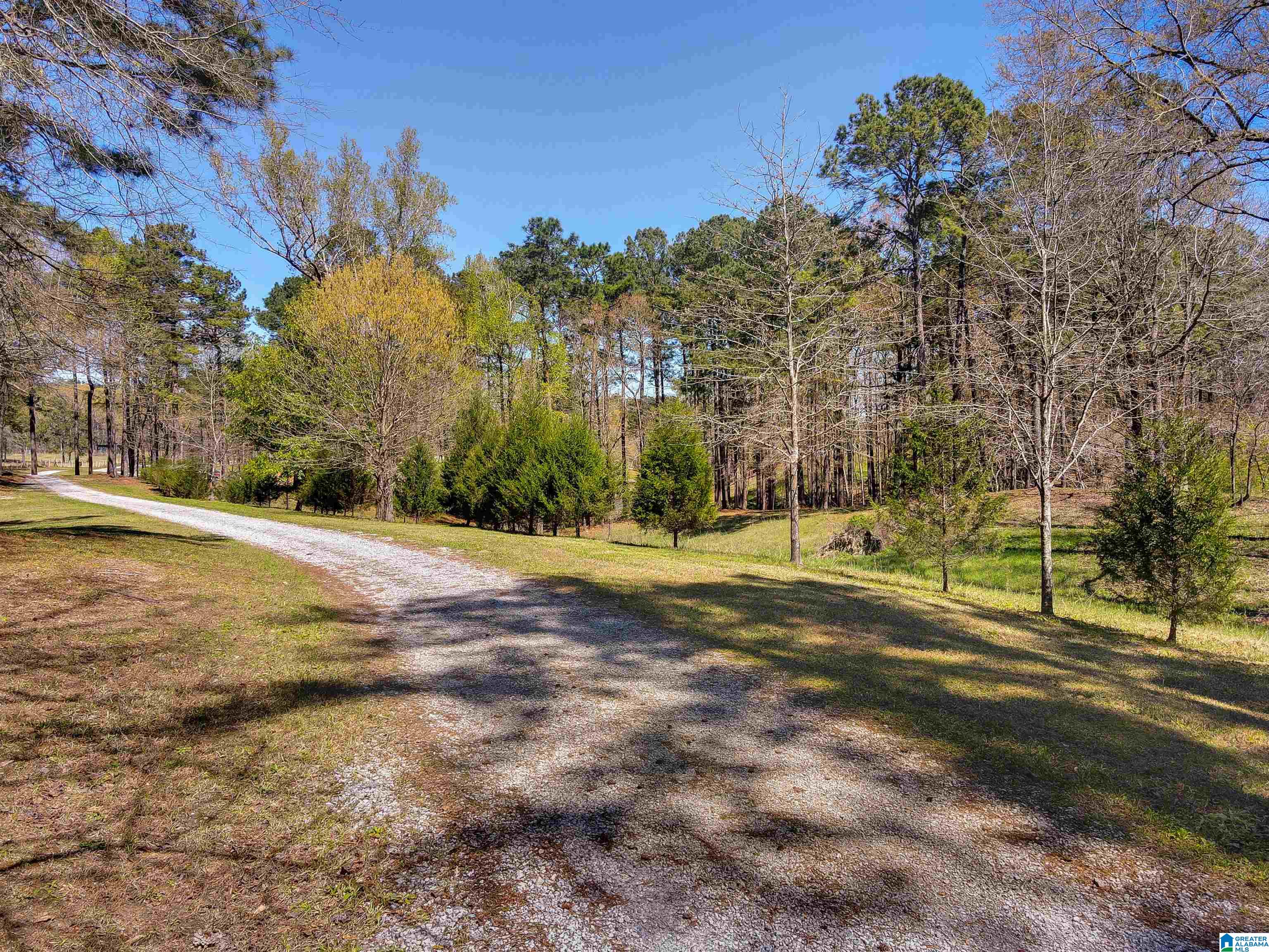 833 County Road, Unit 2 Jemison, AL 35085 - Photo 7 of 15