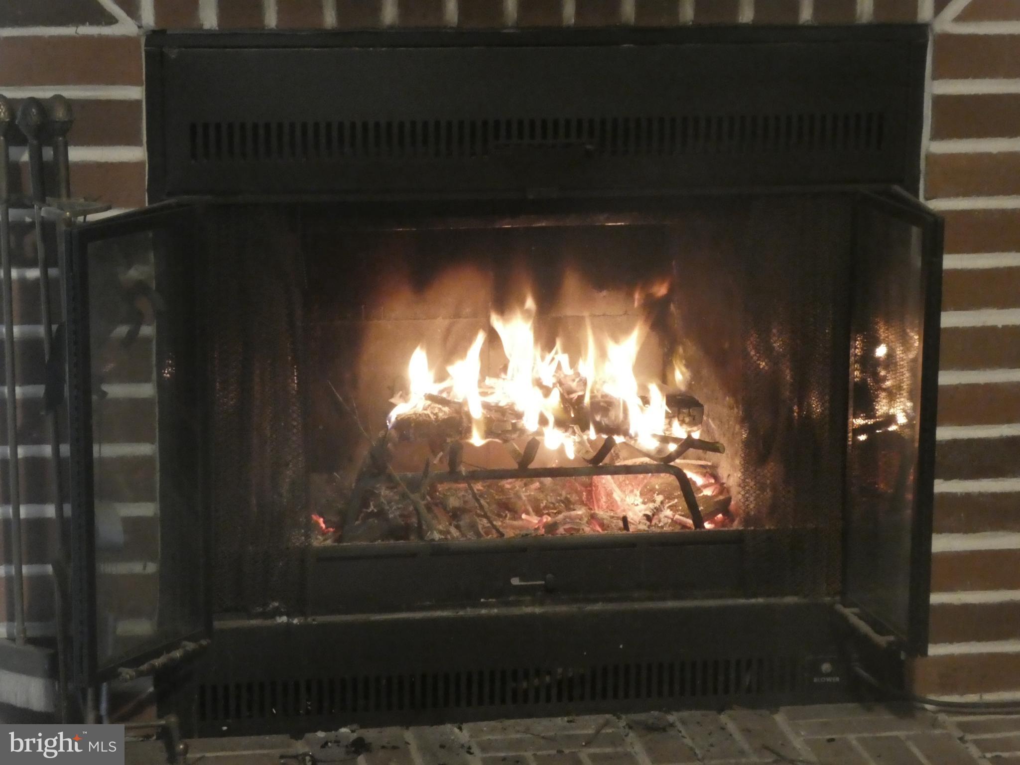 605 Cedarcroft Road Baltimore, MD 21212 - Photo 25 of 63 Warm woodburning fire