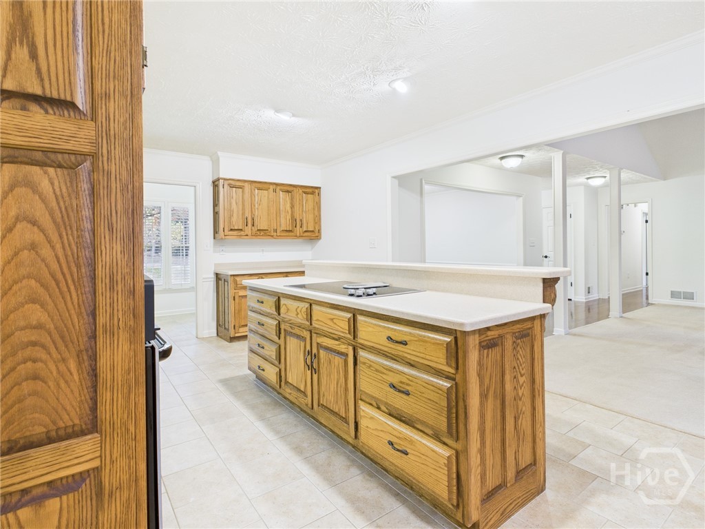 1010 Springview Court Athens, GA 30606 - Photo 7 of 29 Gallery Image 7