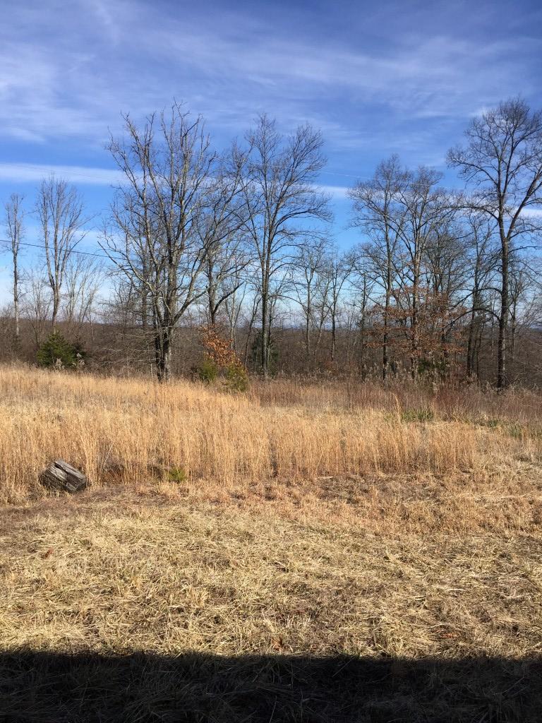 1418 Raccoon Ridge Road Spring City, TN 37381 - Photo 12 of 26 12