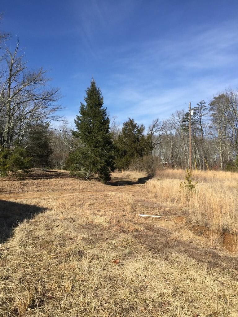 1418 Raccoon Ridge Road Spring City, TN 37381 - Photo 13 of 26 IMG_7908 (Medium)
