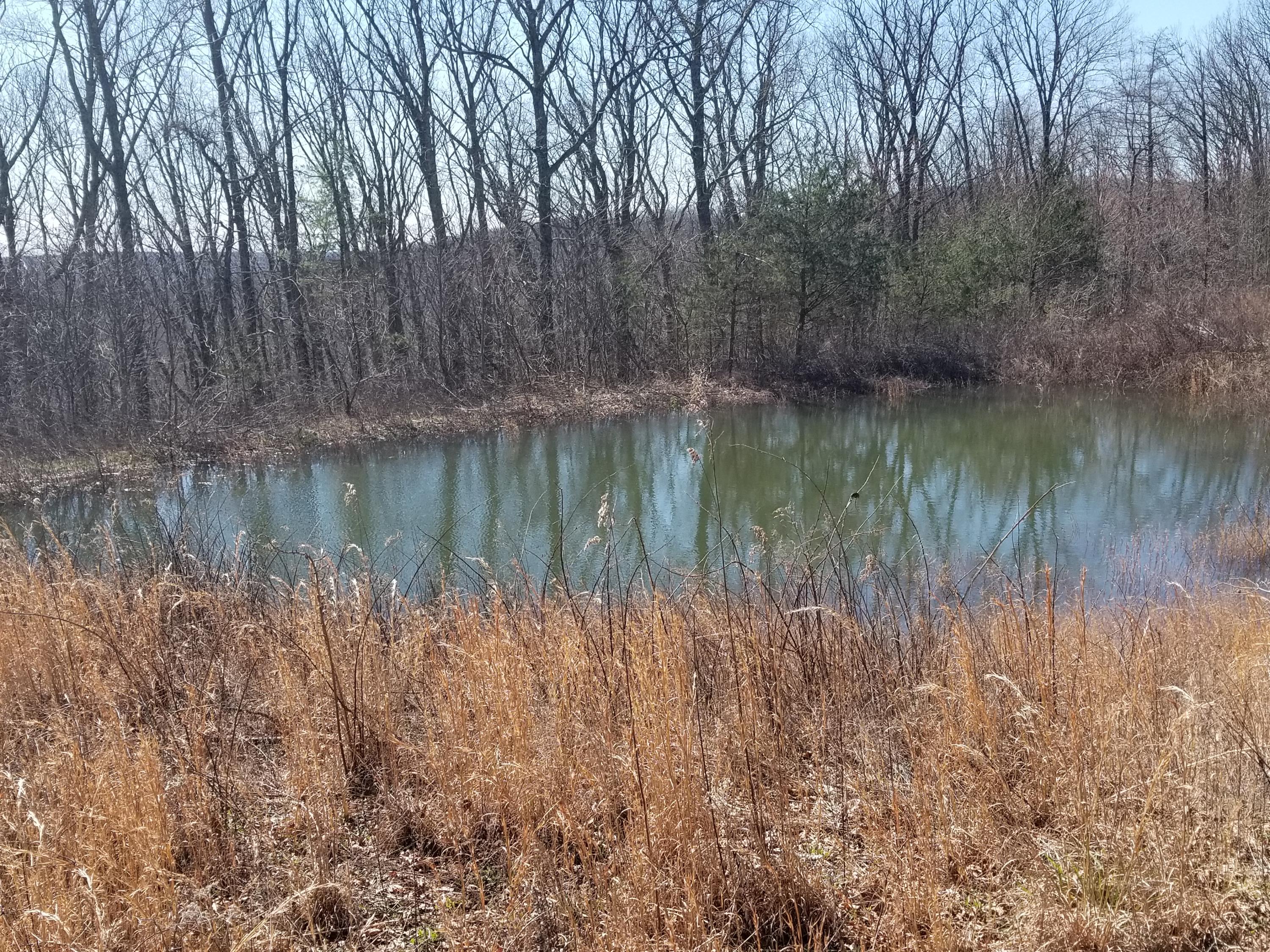 1418 Raccoon Ridge Road Spring City, TN 37381 - Photo 14 of 26 2nd pond 2