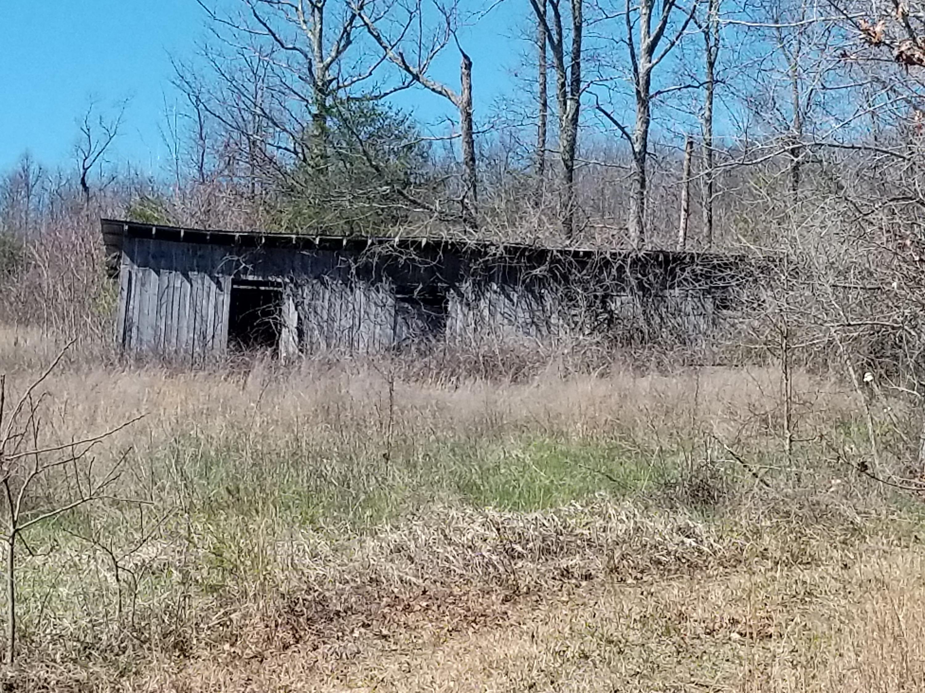1418 Raccoon Ridge Road Spring City, TN 37381 - Photo 22 of 26 old barn