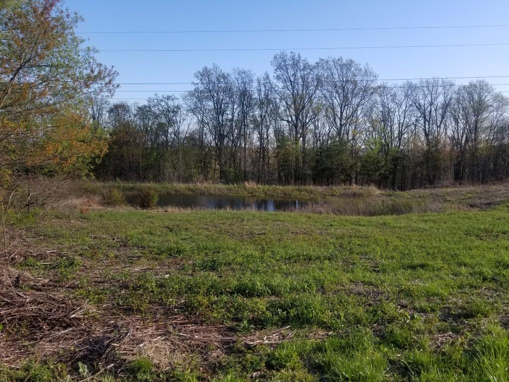 1418 Raccoon Ridge Road Spring City, TN 37381 - Photo 24 of 26 24