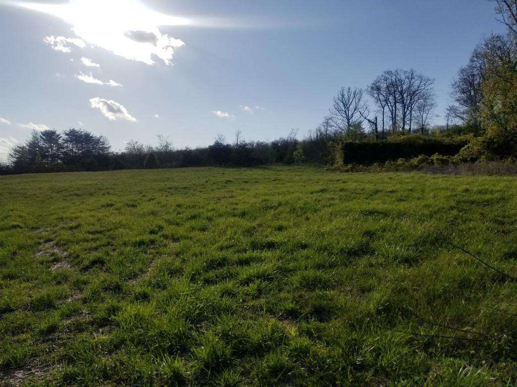 1418 Raccoon Ridge Road Spring City, TN 37381 - Photo 25 of 26 25
