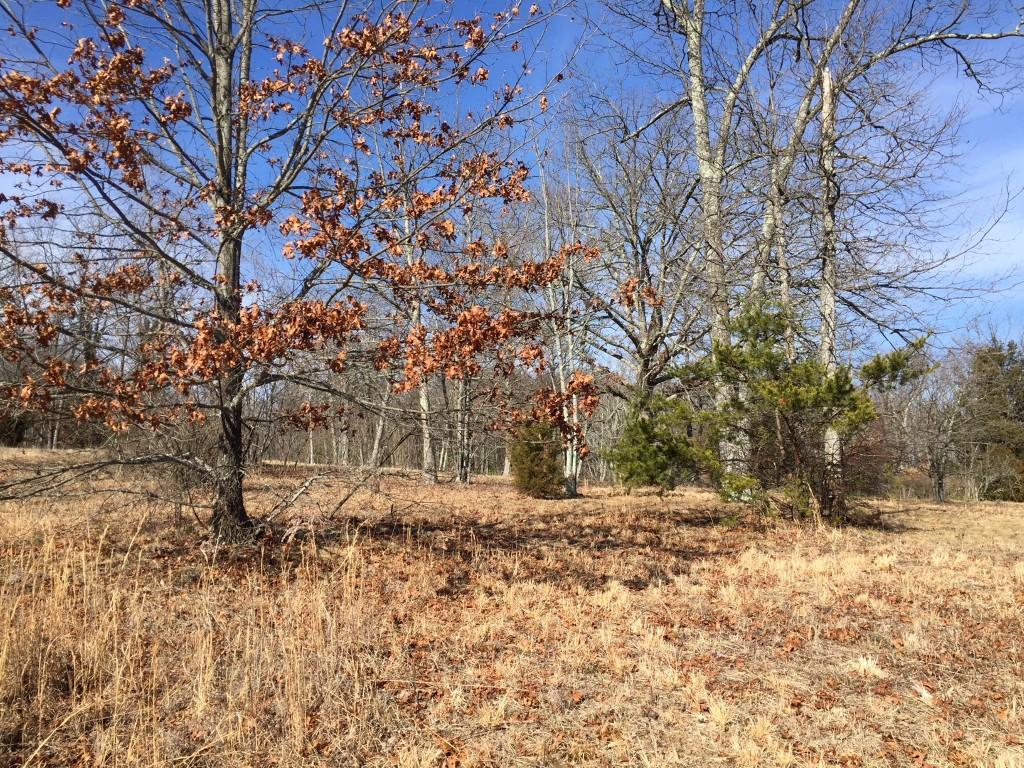 1418 Raccoon Ridge Road Spring City, TN 37381 - Photo 4 of 26 4