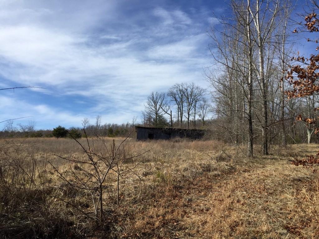 1418 Raccoon Ridge Road Spring City, TN 37381 - Photo 8 of 26 8