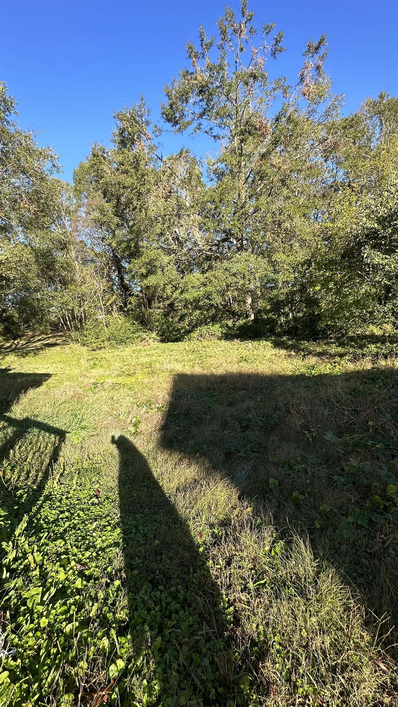 141 High Street Converse, SC 29307 - Photo 9 of 9