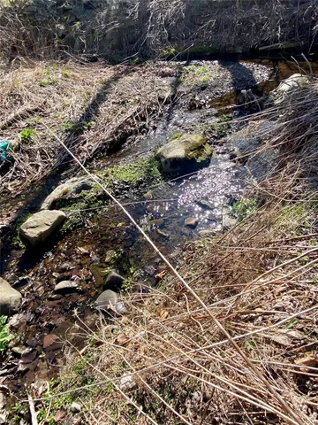 a view of a backyard of the house