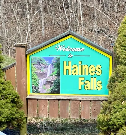 $59,000 | 5232 Highway 23A, Haines Falls, NY 12436