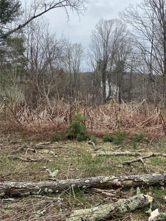 a view of outdoor space and a yard