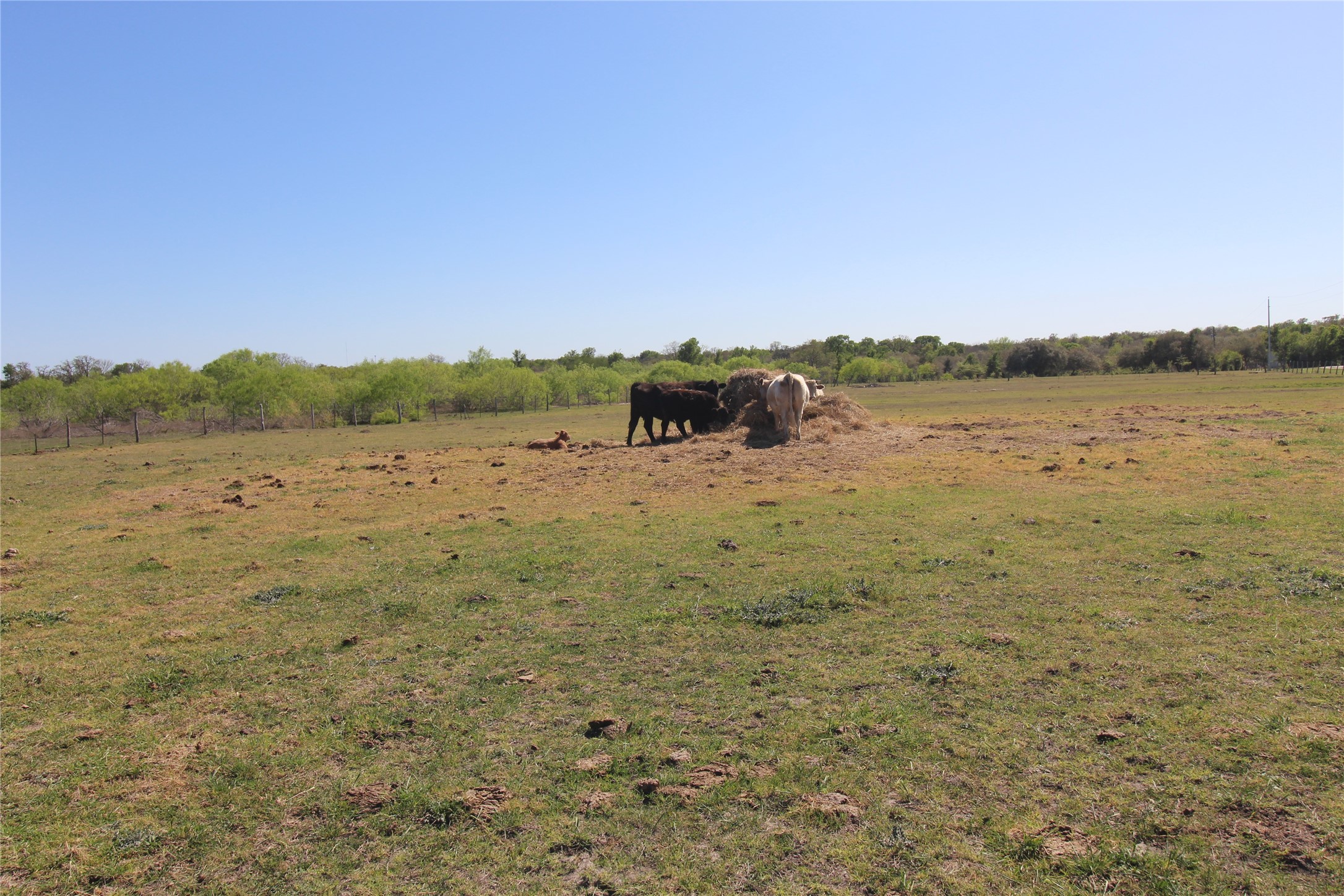 8575 Schuster Road Ledbetter, TX 78946 - Photo 46 of 48