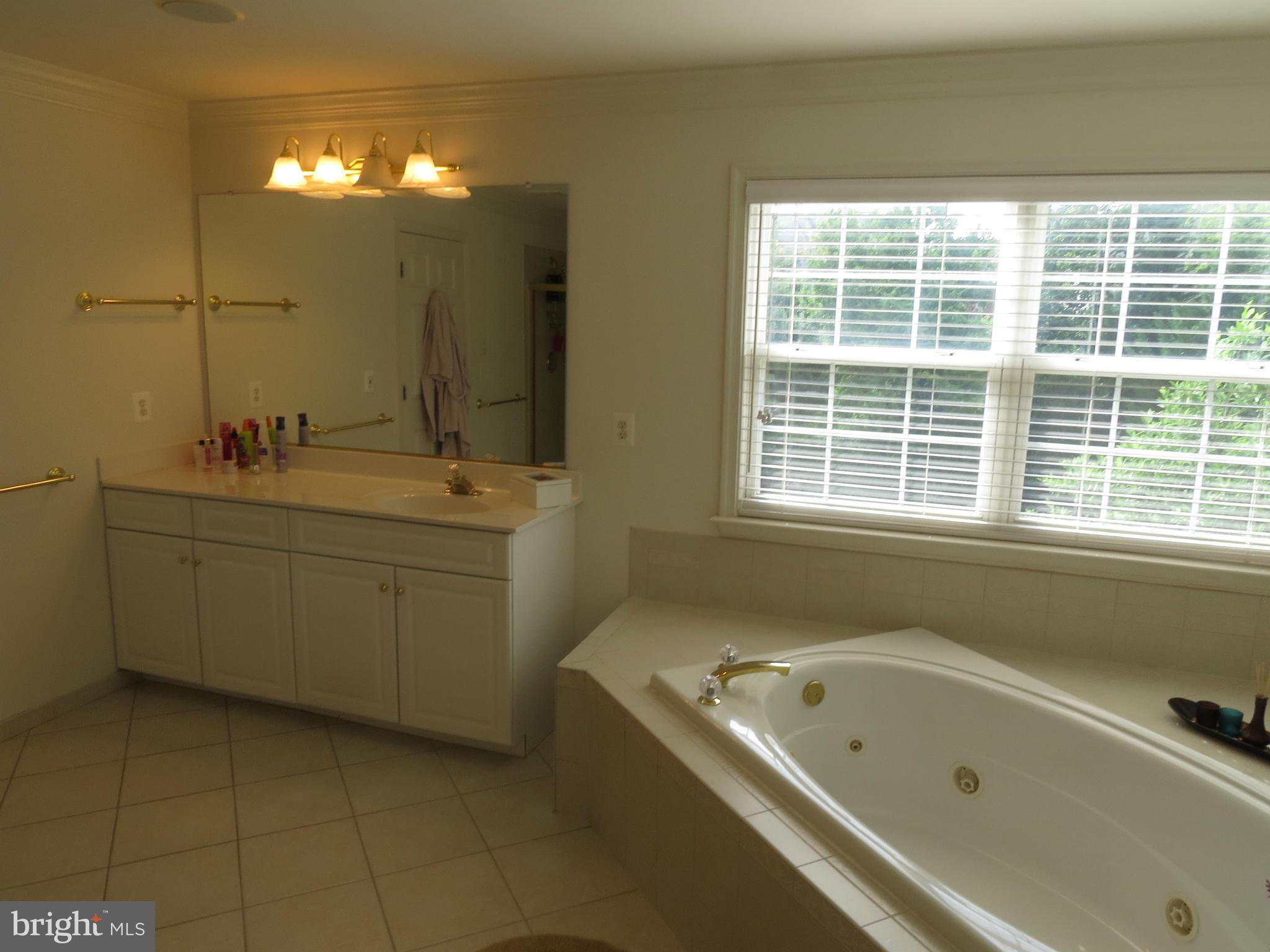 3816 Chantilly Road Chantilly, VA 20151 - Photo 21 of 30 Bath (Master)