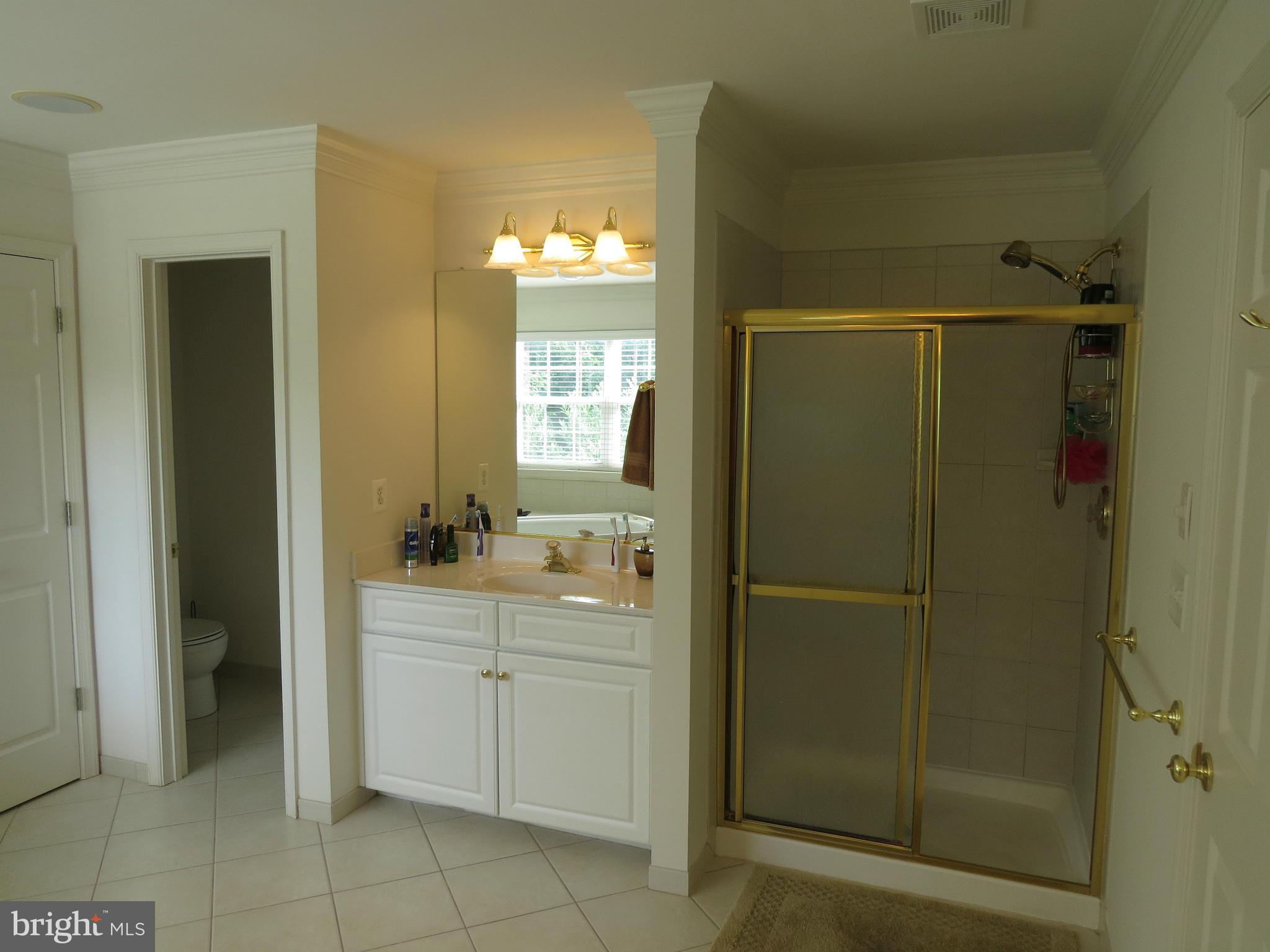 3816 Chantilly Road Chantilly, VA 20151 - Photo 22 of 30 Bath (Master)