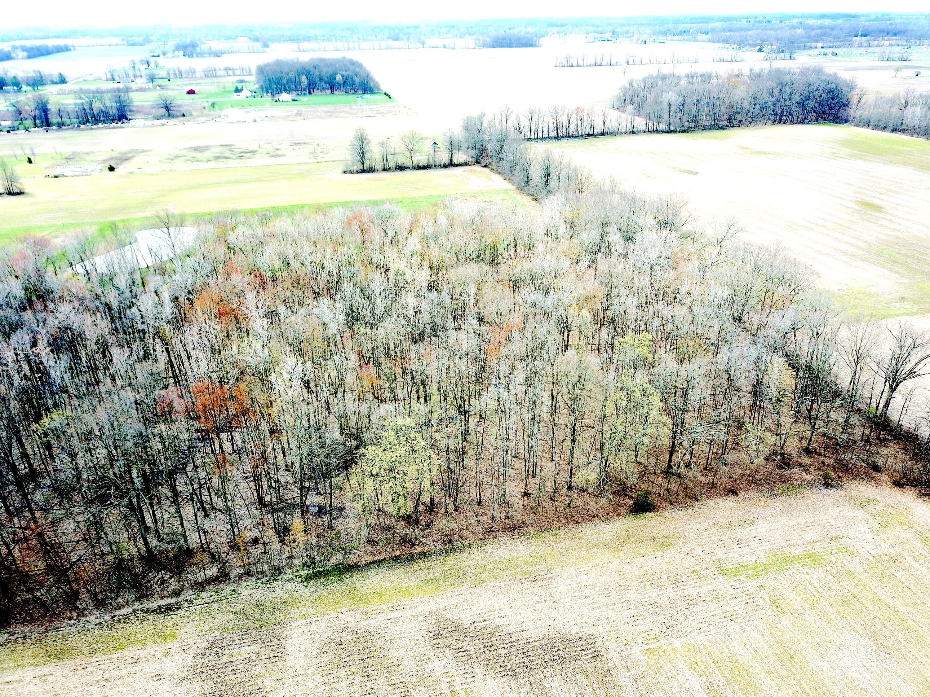 0 Carr Road Ostrander, OH 43061 - Photo 5 of 24 DJI_0987