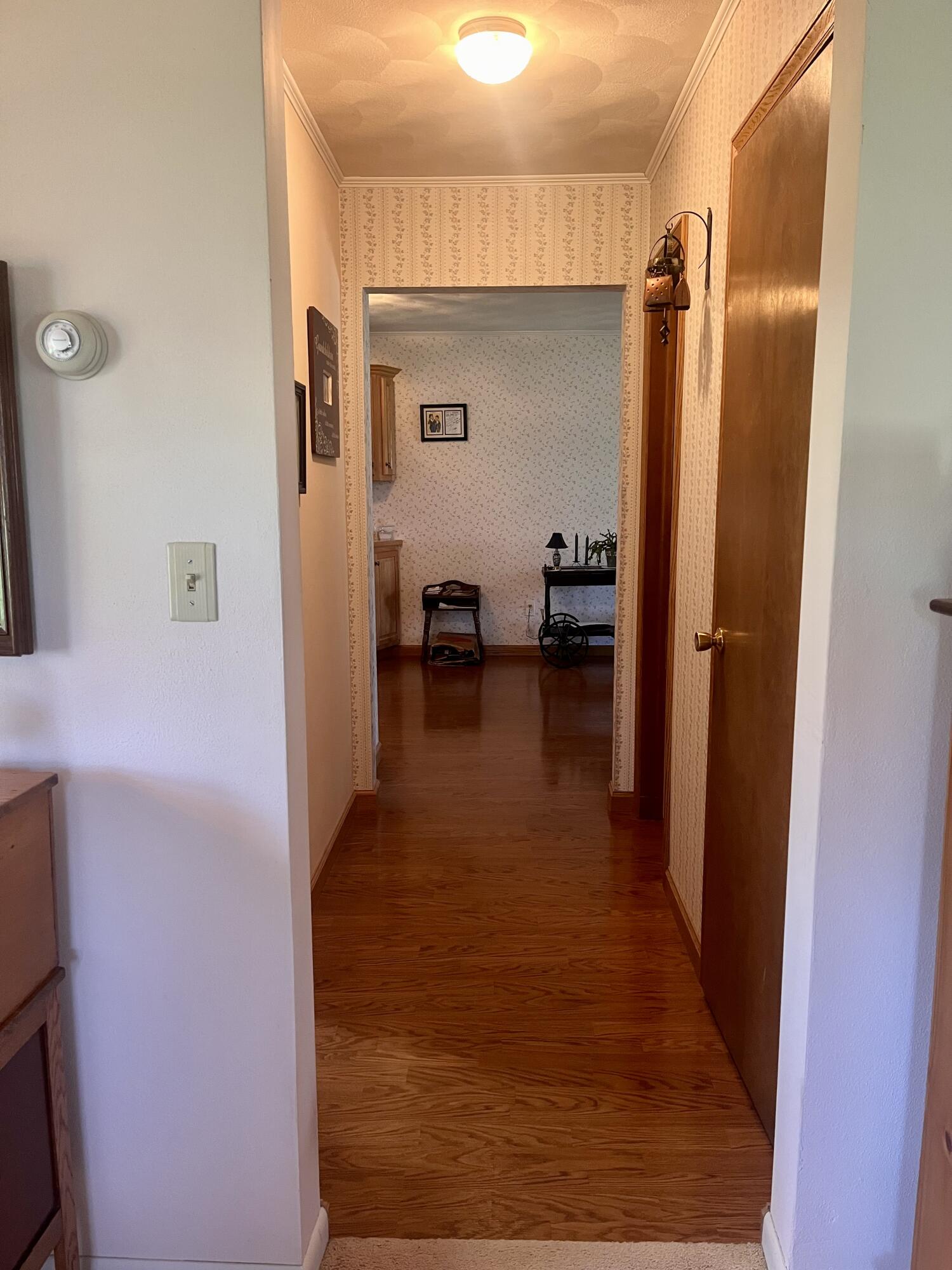 146 Squaw Creek Road Marshall, MI 49068 - Photo 5 of 33 IMG_3278