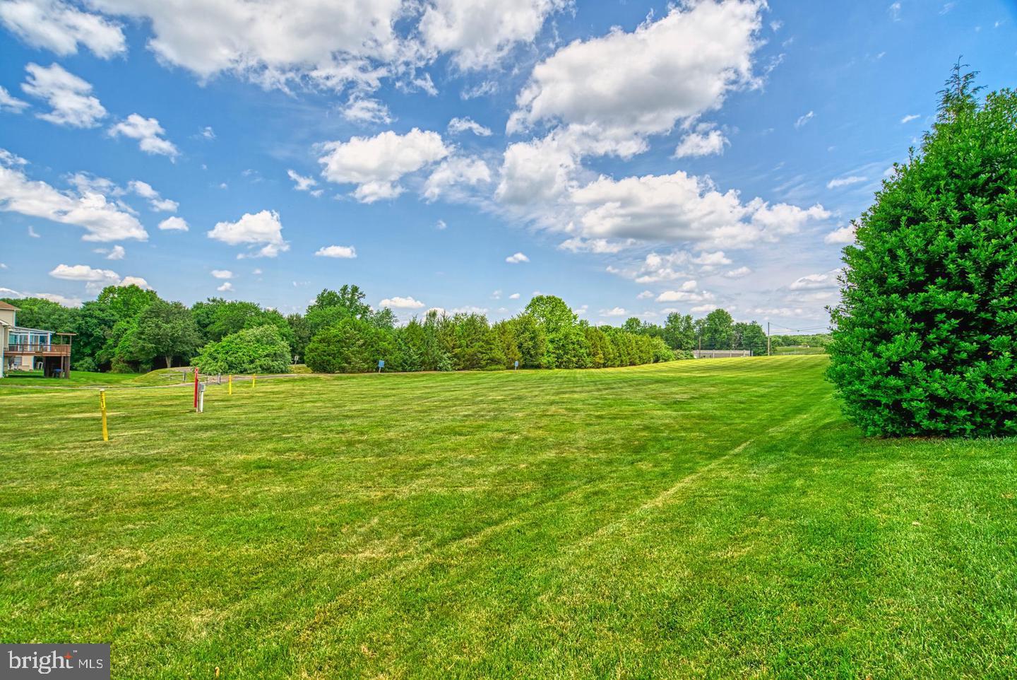 11081 Pelham Manor Place Reston, VA 20194 - Photo 61 of 99 Expansive green space under blue skies.