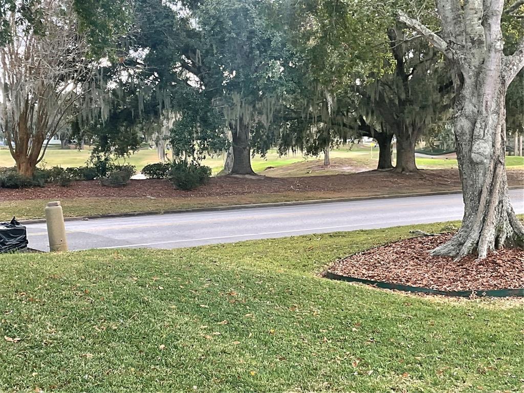 711 Agua Way Lady Lake, FL 32159 - Photo 16 of 16 a view of a yard with a tree