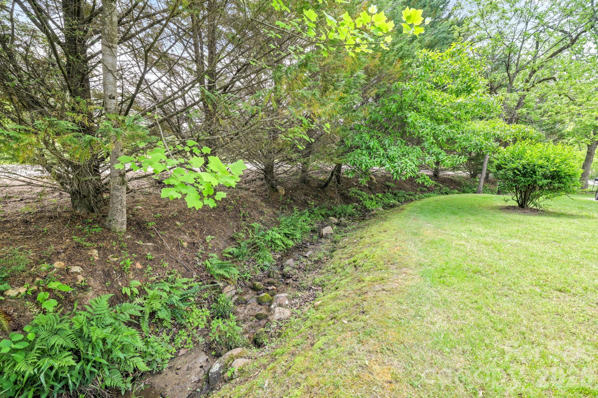 19 Quail Ridge Trail Franklin, NC 28734 - Photo 26 of 37 a view of yard with green space