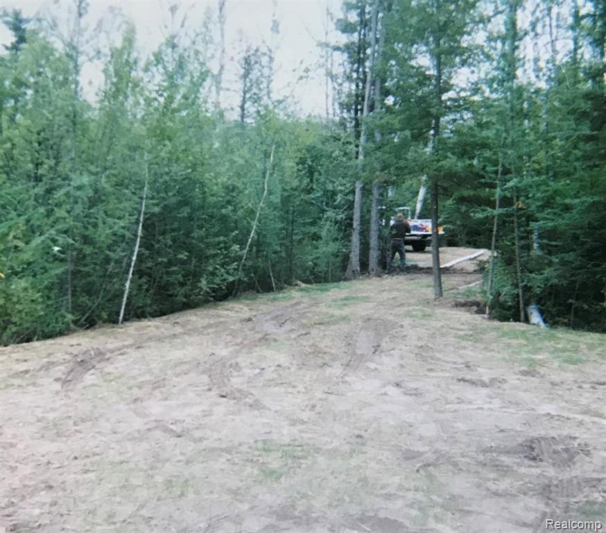 0 Mills Street Twining, MI 48766 - Photo 2 of 7