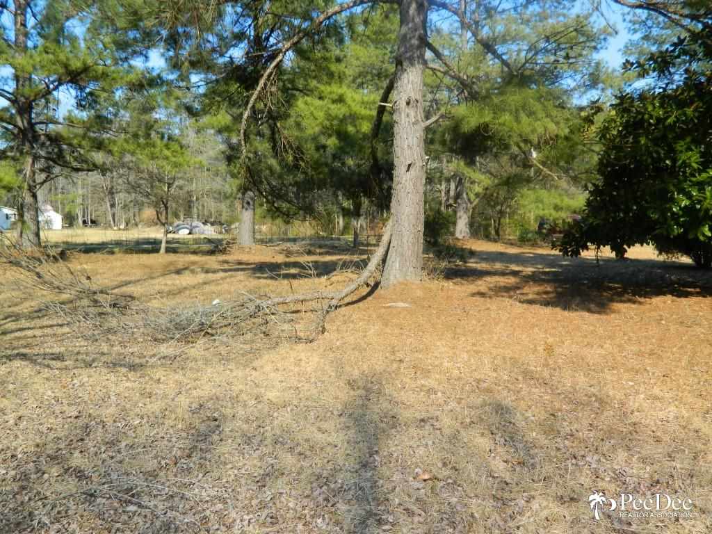 4336 Miles Road Florence, SC 29505 - Photo 1 of 1 Gallery Image 1