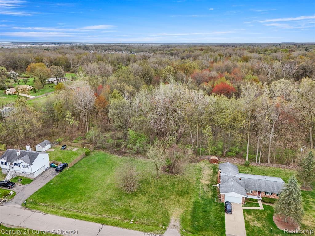 0 Park Romulus, MI 48174 - Photo 4 of 10