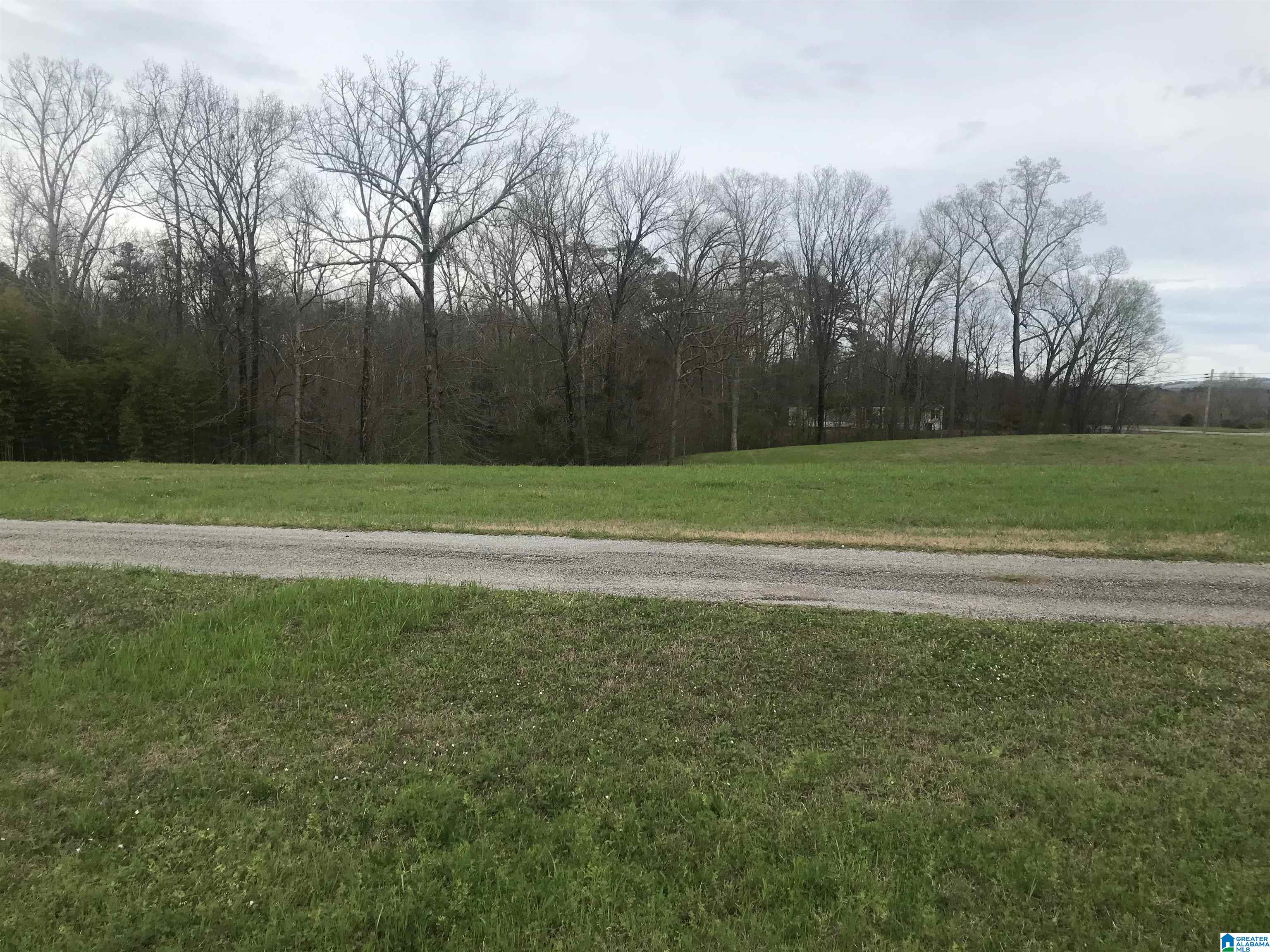 33195 Highway 79 Cleveland, AL 35049 - Photo 12 of 57