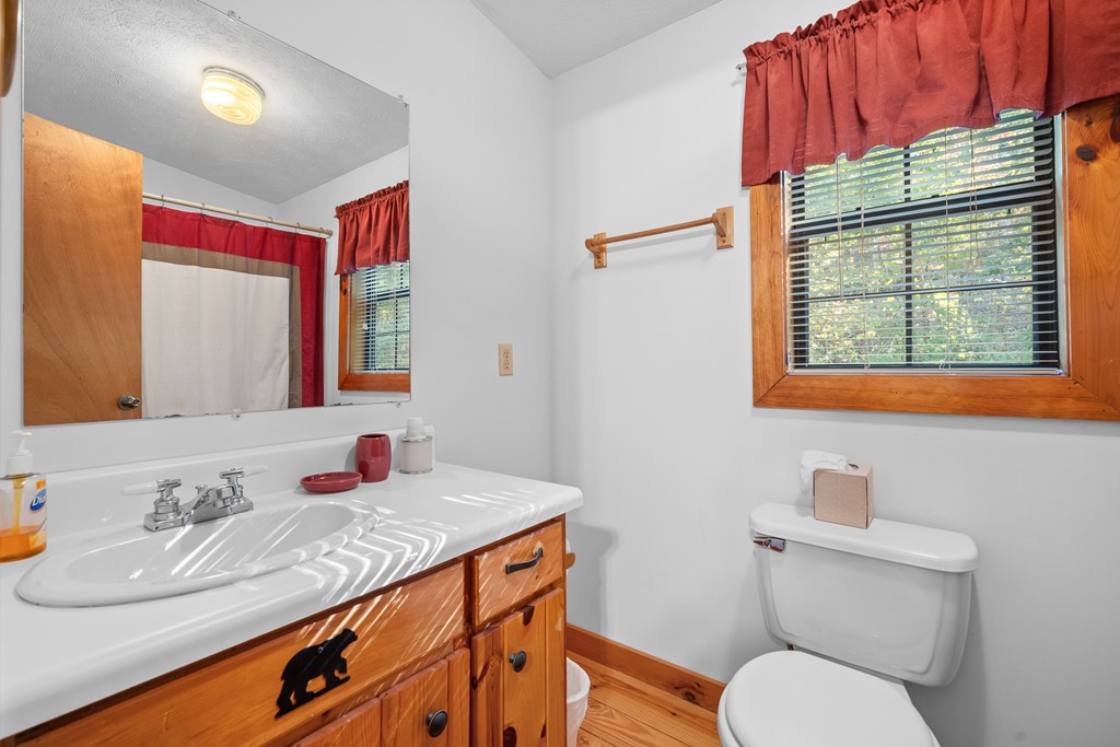 1503 Millenium Drive Young Harris, GA 30582 - Photo 21 of 55 a bathroom with a granite countertop sink mirror vanity and toilet