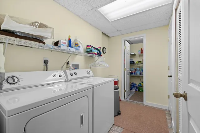 a view of a yard with a tree