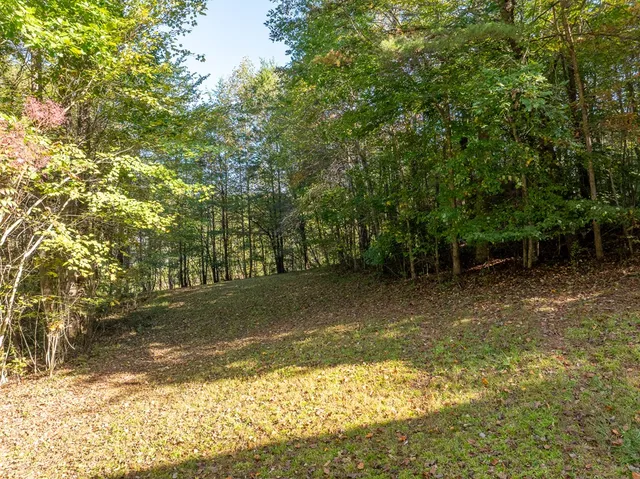 a view of outdoor space and yard