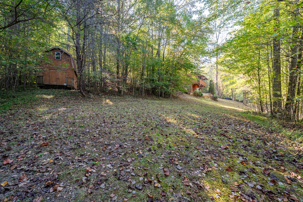 1503 Millenium Drive Young Harris, GA 30582 - Photo 36 of 55 a view of a backyard with large trees