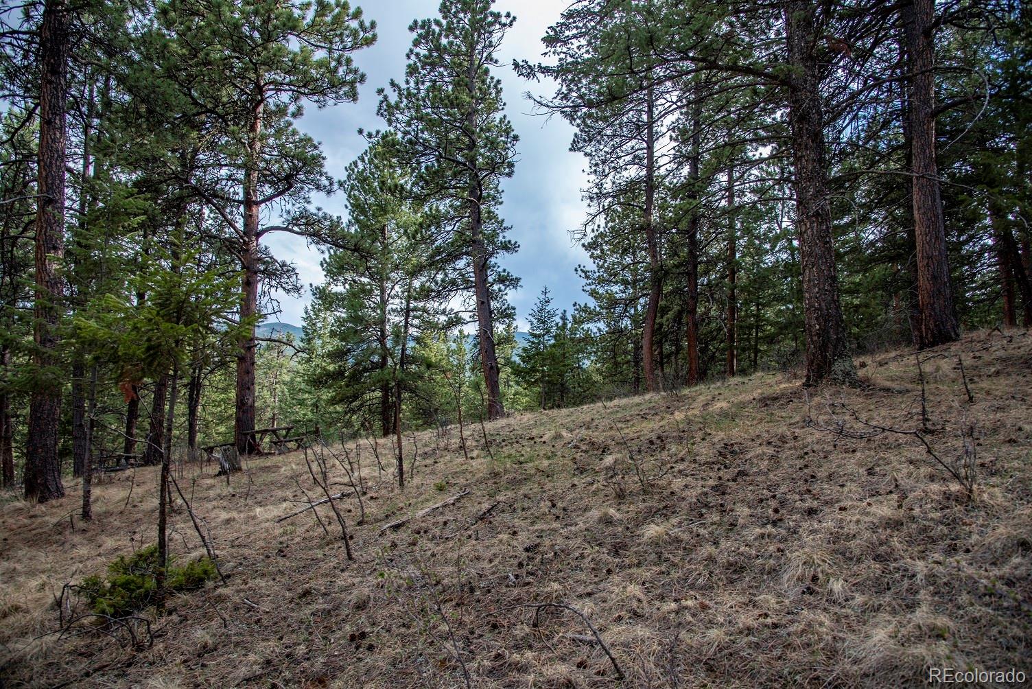 Nuthatch Road Evergreen, CO 80439 - Photo 7 of 16 Gallery Image 7