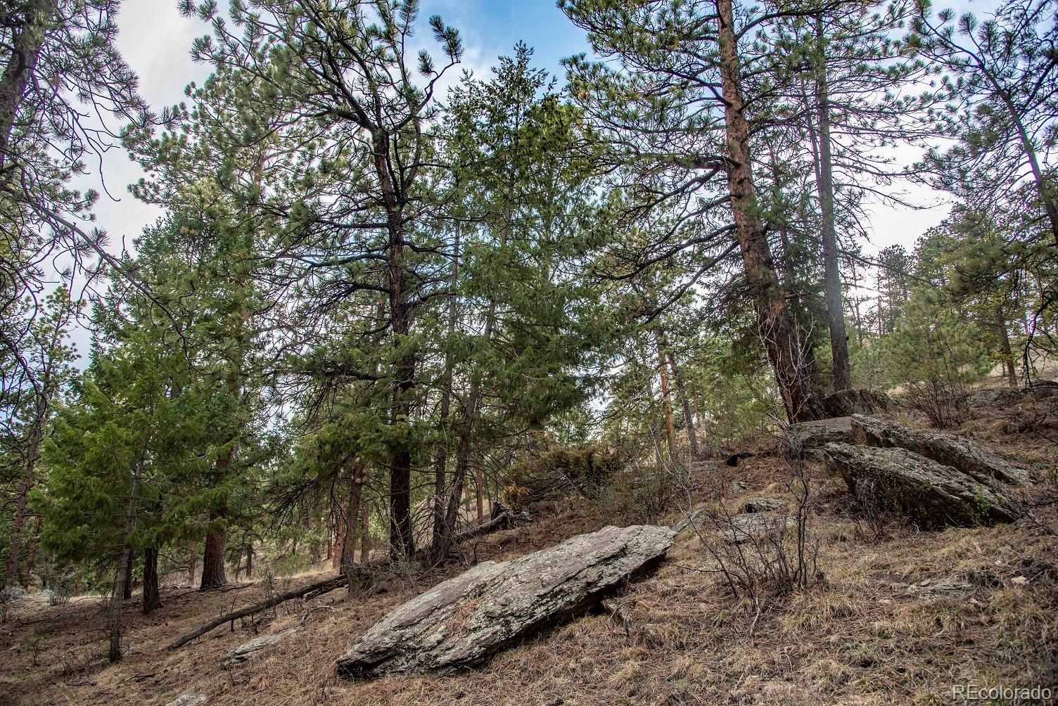 Nuthatch Road Evergreen, CO 80439 - Photo 8 of 16 Gallery Image 8