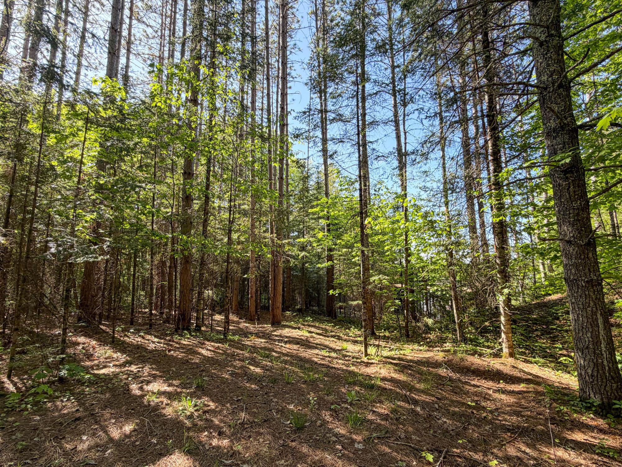 65916 Fischer Road Winter, WI 54896 - Photo 93 of 99