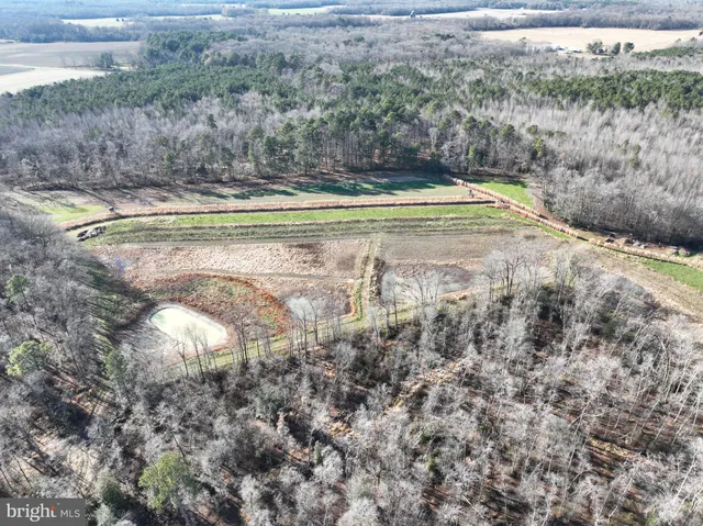 a view of a forest with trees