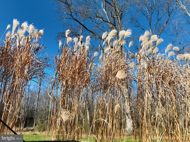 $795,000 | 0 Sandtown Road, Felton, DE 19943