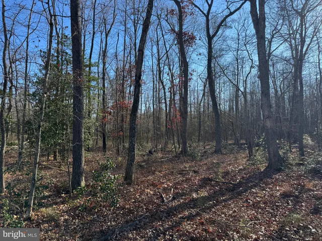 $795,000 | 0 Sandtown Road, Felton, DE 19943