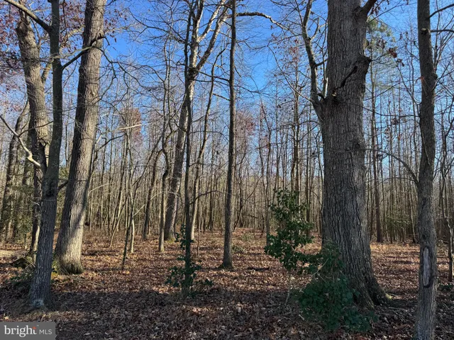 $795,000 | 0 Sandtown Road, Felton, DE 19943