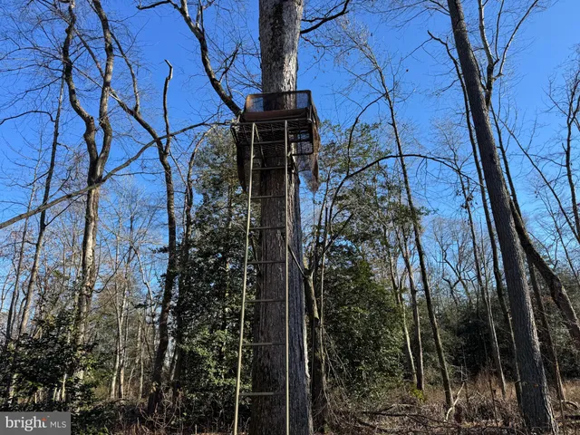 $795,000 | 0 Sandtown Road, Felton, DE 19943